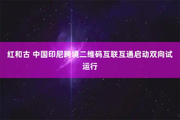 红和古 中国印尼跨境二维码互联互通启动双向试运行