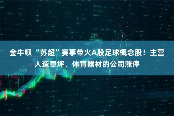 金牛呗 “苏超”赛事带火A股足球概念股！主营人造草坪、体育器材的公司涨停
