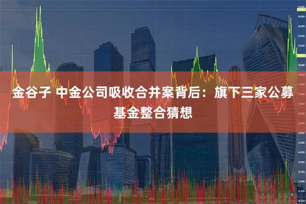 金谷子 中金公司吸收合并案背后：旗下三家公募基金整合猜想